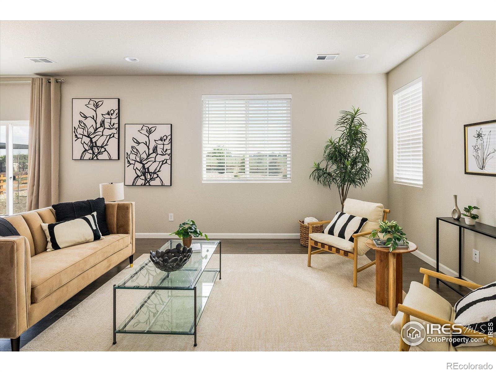MLS Image #5 for 360  marlowe court,erie, Colorado