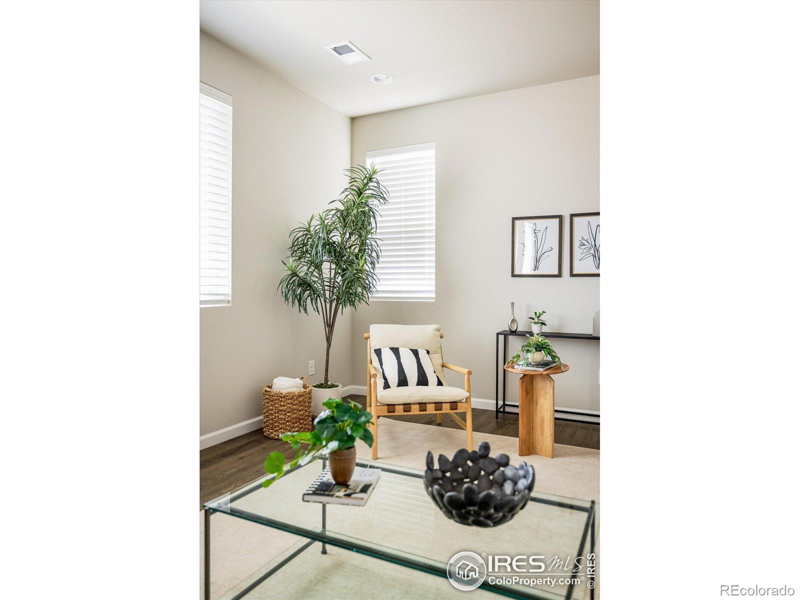 MLS Image #6 for 360  marlowe court,erie, Colorado