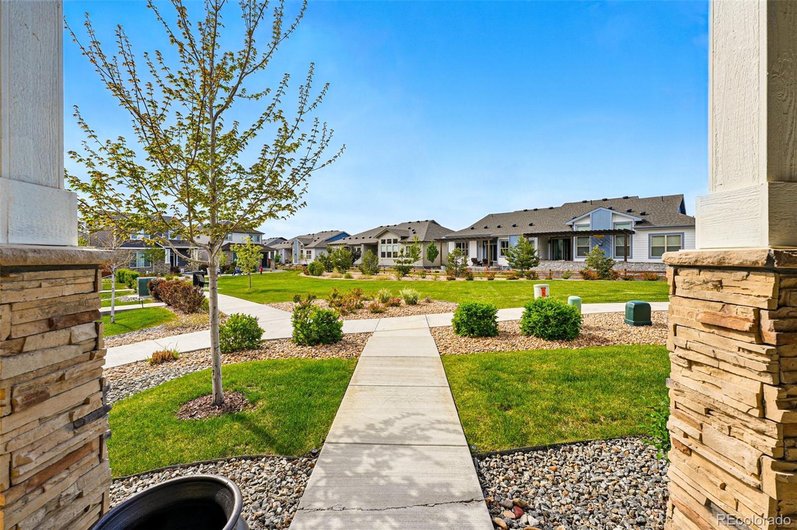 MLS Image #4 for 6833  longpark drive,parker, Colorado