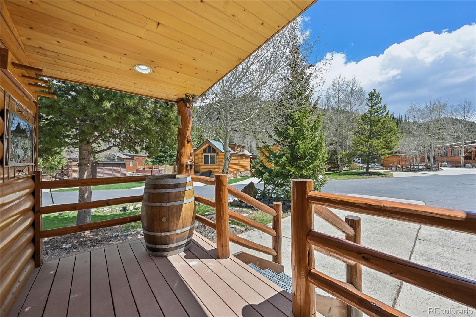 MLS Image #4 for 85  revett drive,breckenridge, Colorado