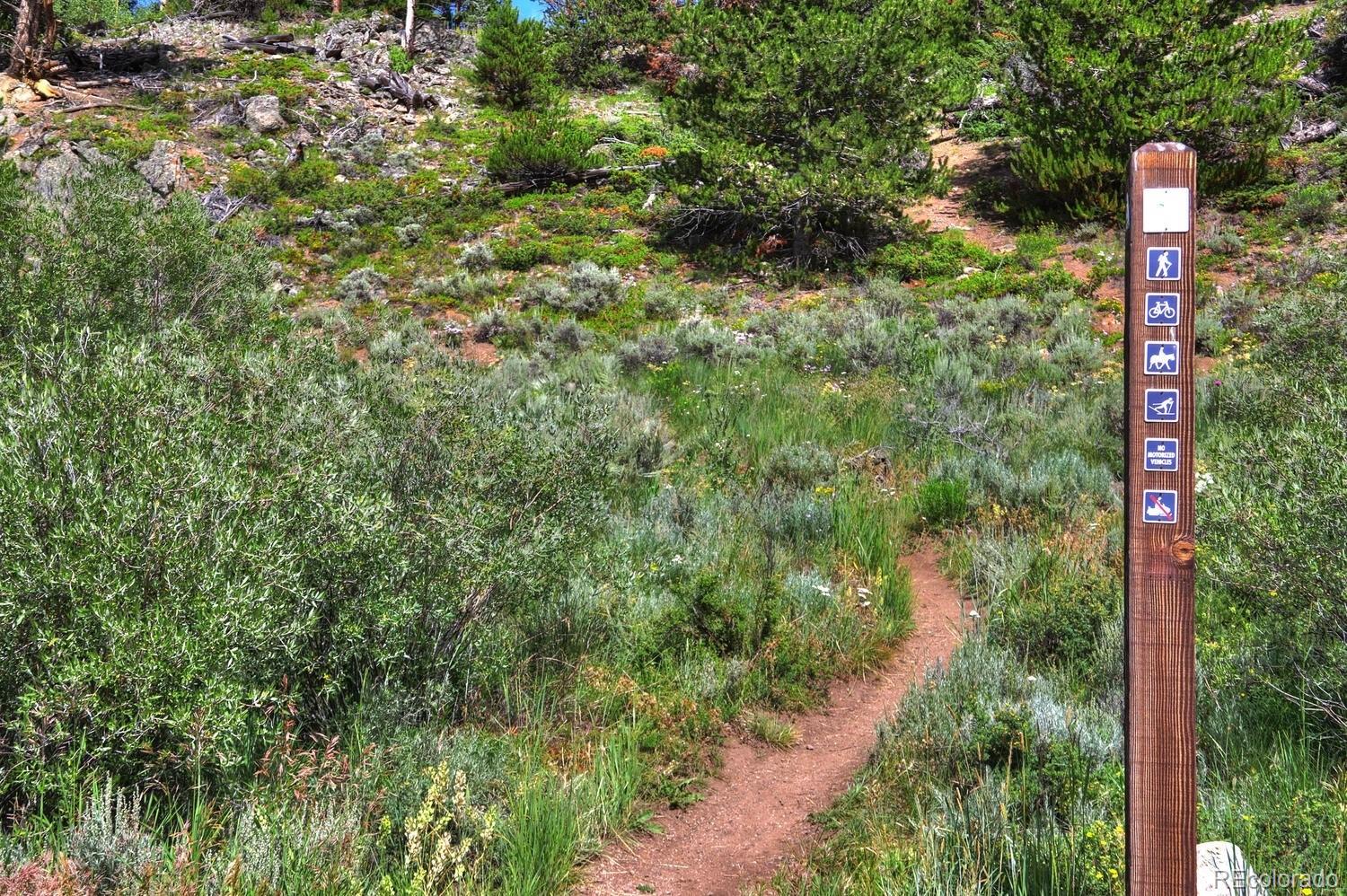 MLS Image #41 for 85  revett drive,breckenridge, Colorado