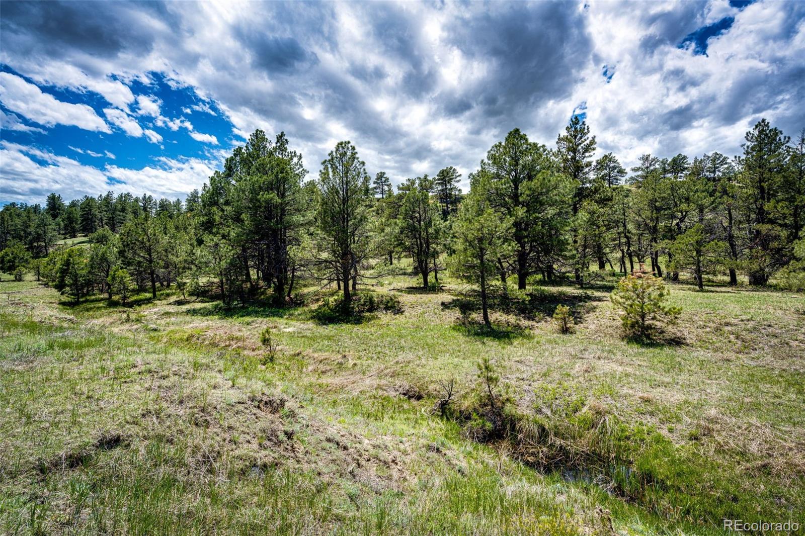 MLS Image #29 for 38879  rusty spur trail,agate, Colorado