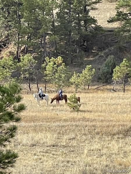 MLS Image #41 for 38879  rusty spur trail,agate, Colorado