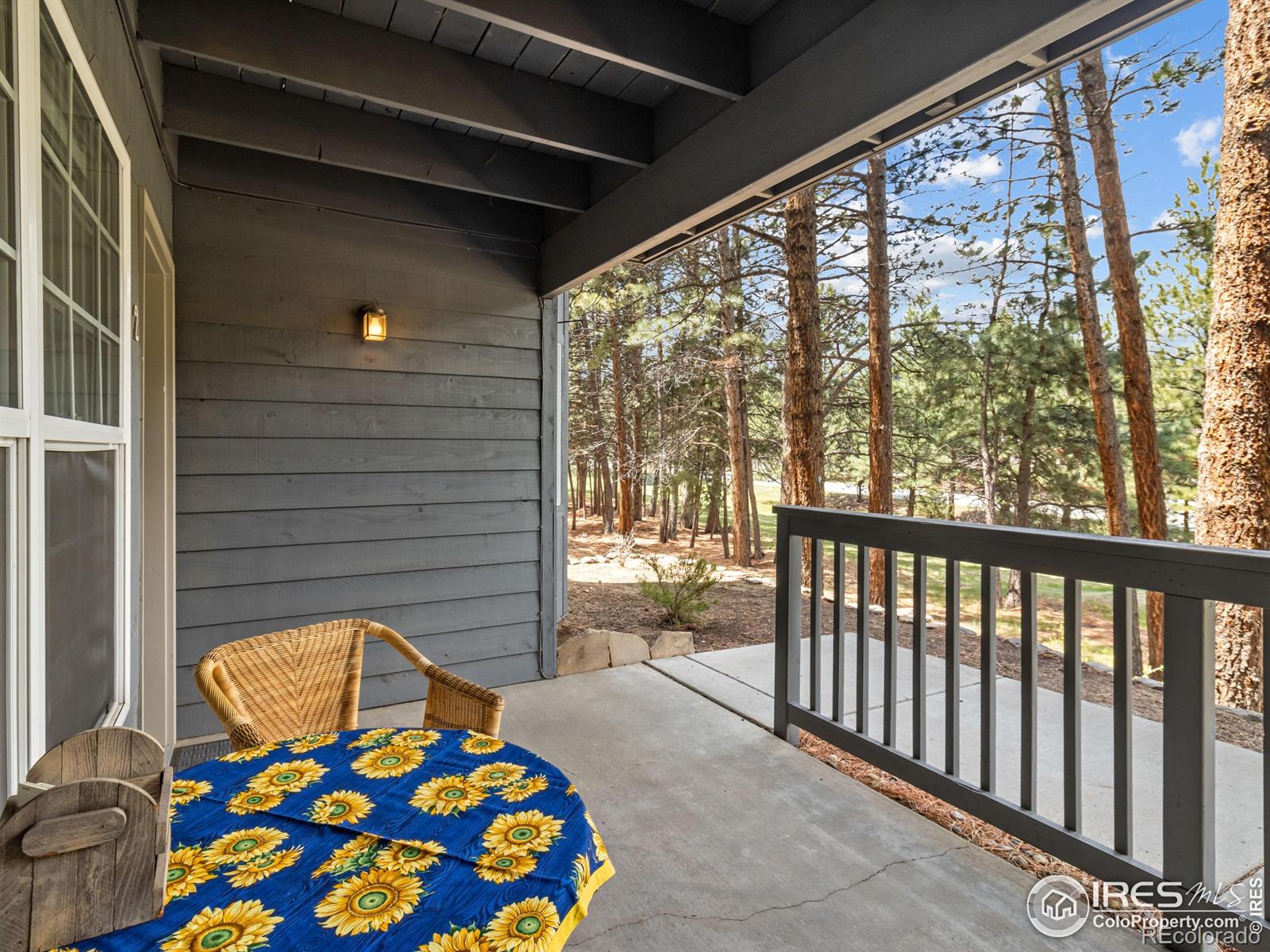 MLS Image #18 for 160  riverside drive,estes park, Colorado
