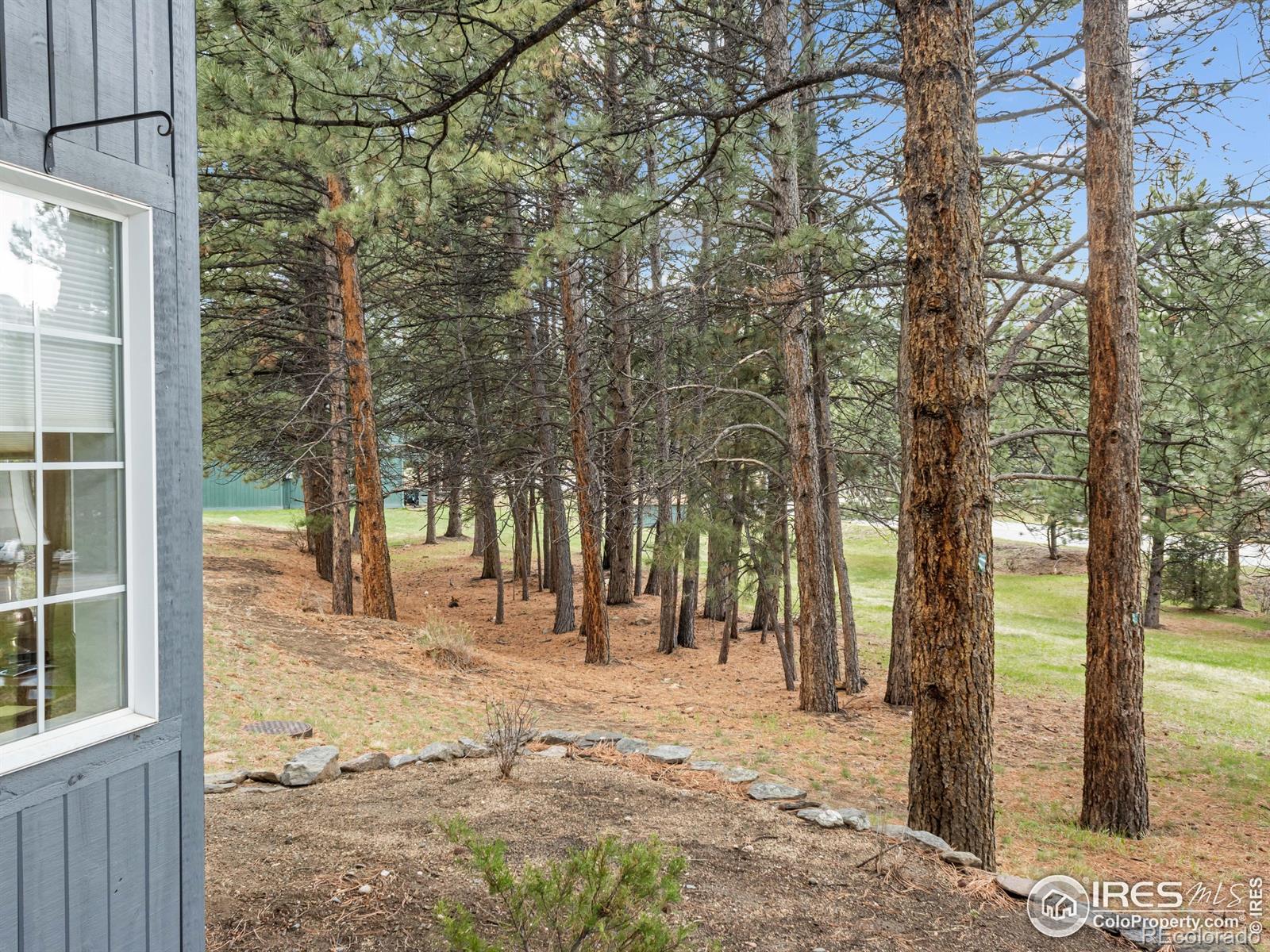 MLS Image #25 for 160  riverside drive,estes park, Colorado