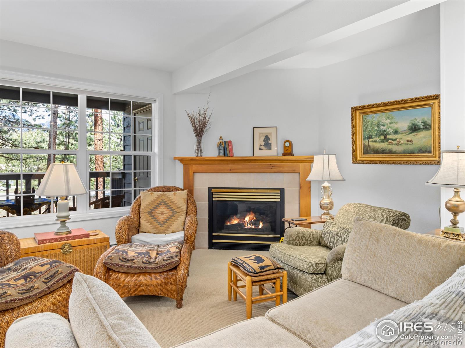 MLS Image #9 for 160  riverside drive,estes park, Colorado