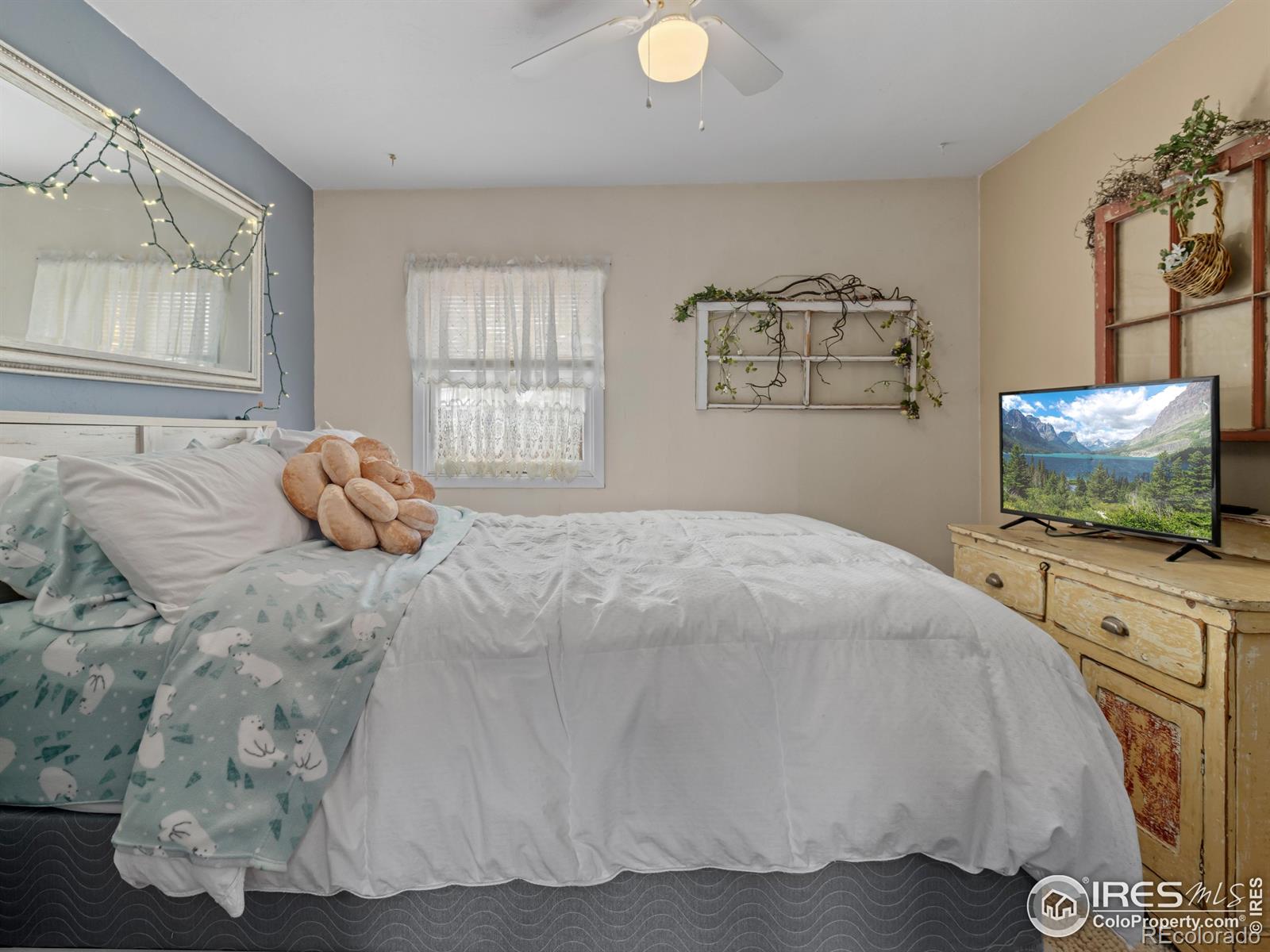 MLS Image #10 for 241  south court,estes park, Colorado