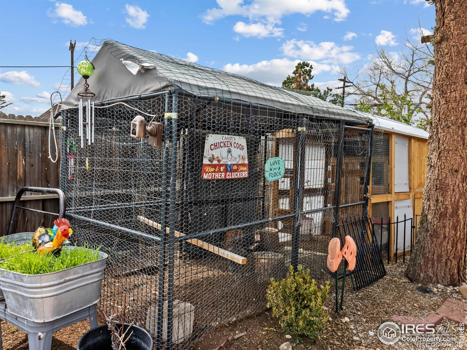 MLS Image #21 for 241  south court,estes park, Colorado