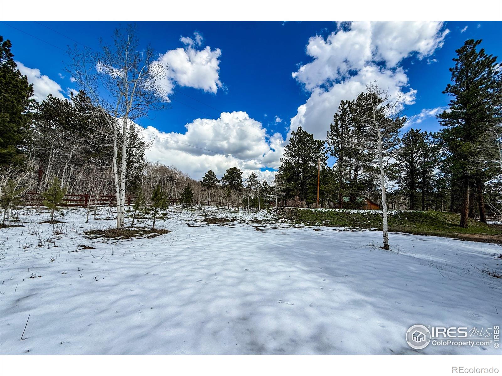 MLS Image #11 for 6  norske trail,allenspark, Colorado