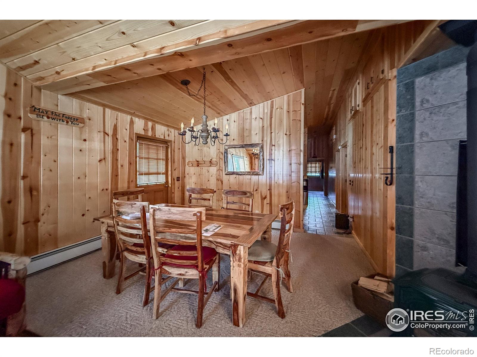 MLS Image #17 for 6  norske trail,allenspark, Colorado