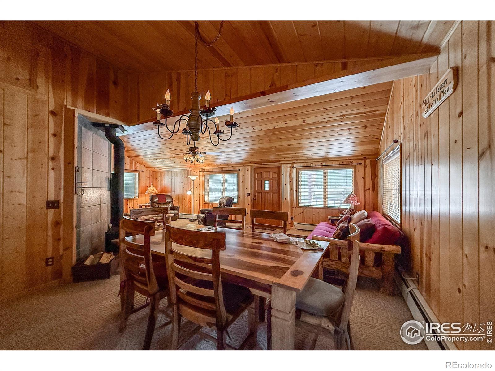 MLS Image #18 for 6  norske trail,allenspark, Colorado