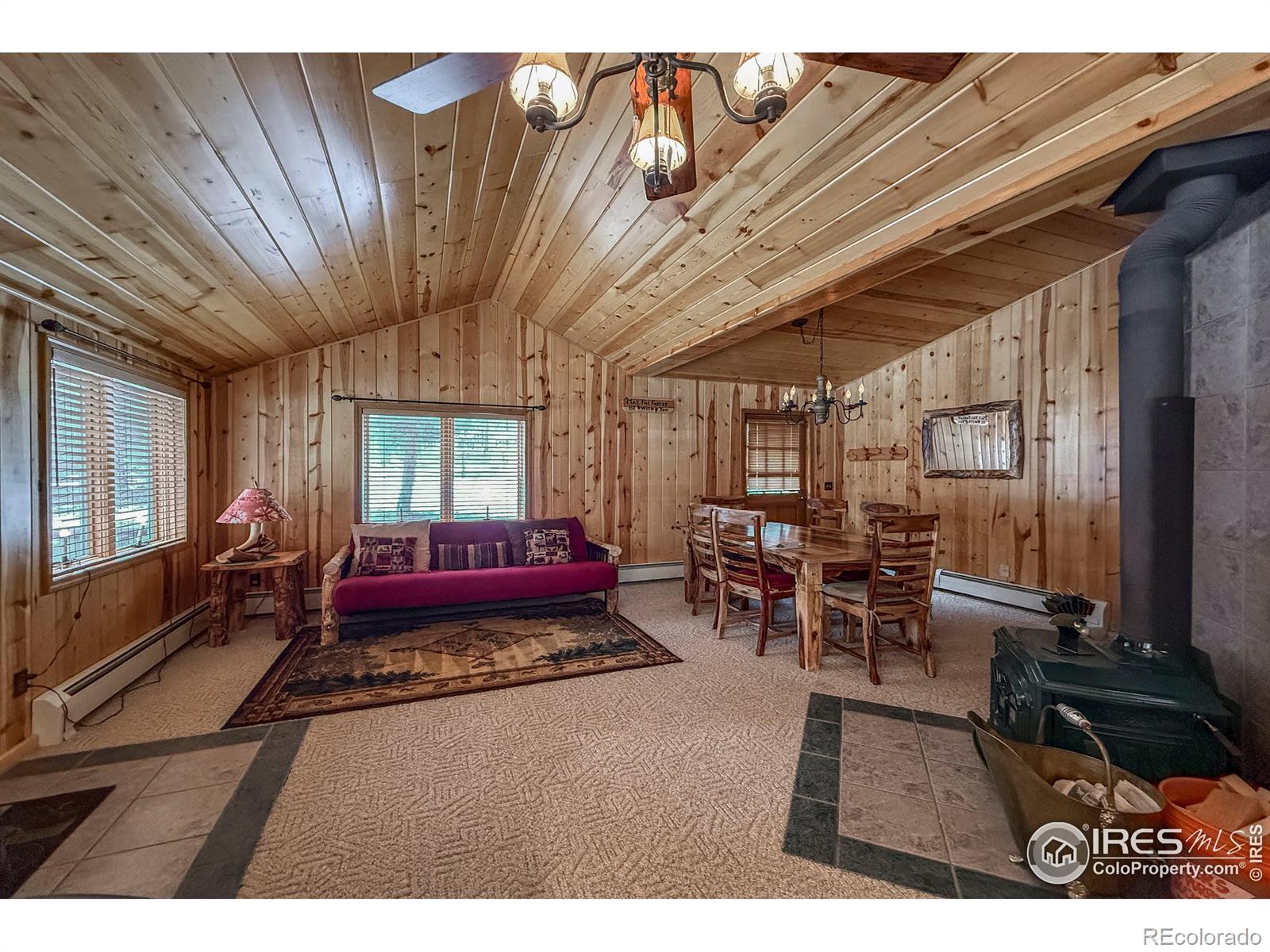 MLS Image #21 for 6  norske trail,allenspark, Colorado