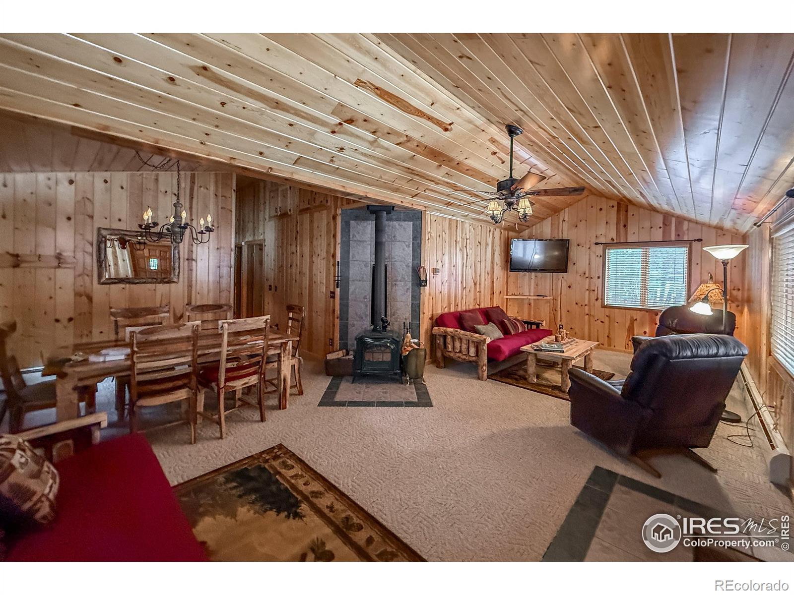 MLS Image #22 for 6  norske trail,allenspark, Colorado
