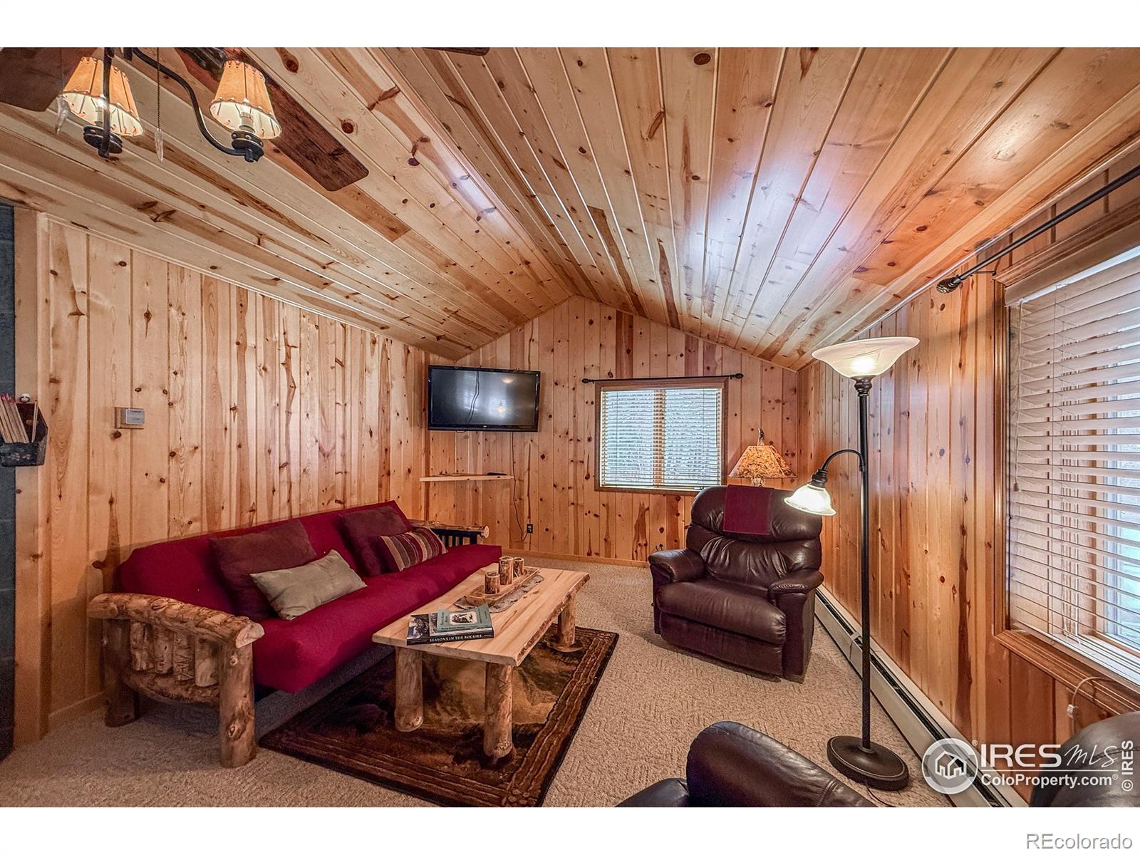 MLS Image #24 for 6  norske trail,allenspark, Colorado