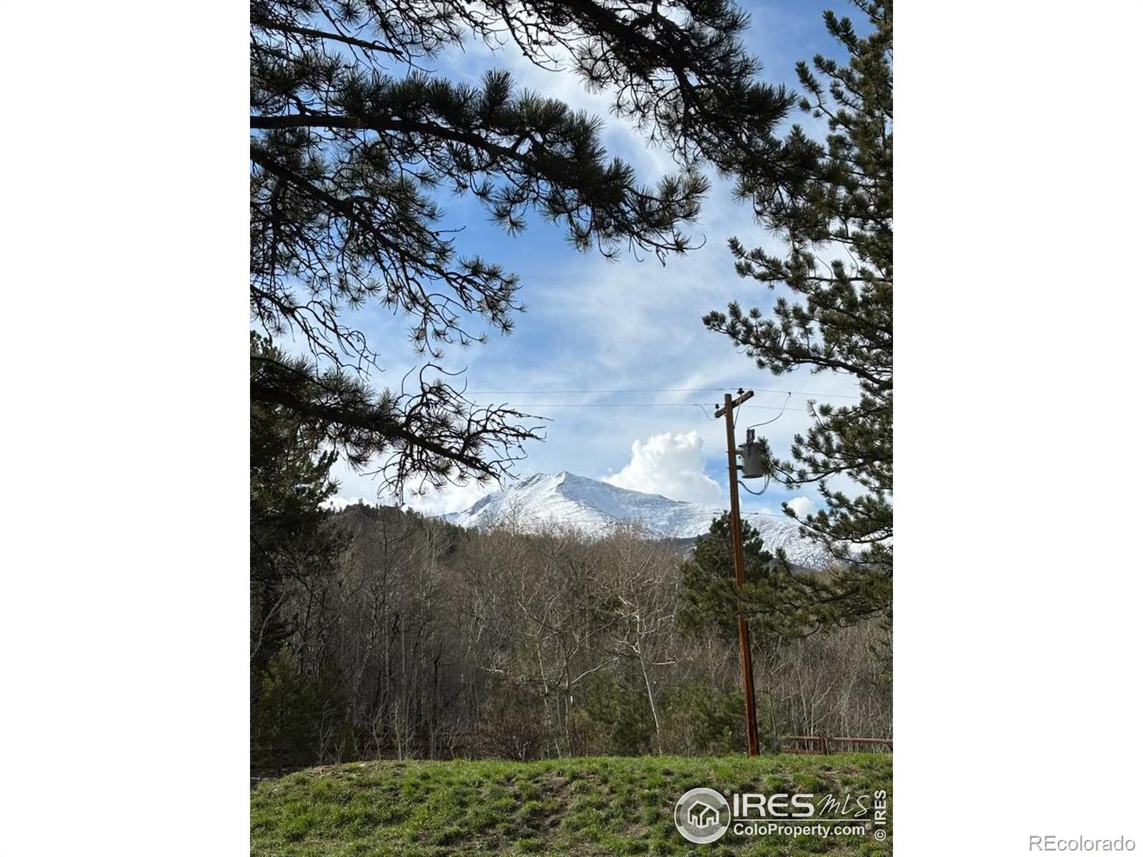 MLS Image #34 for 6  norske trail,allenspark, Colorado
