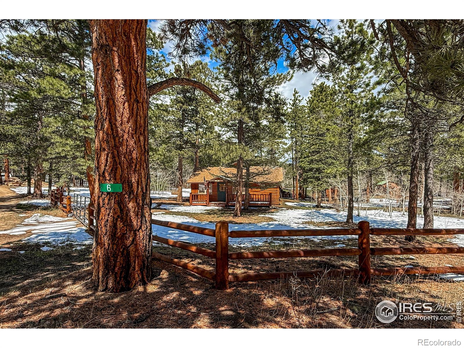 MLS Image #6 for 6  norske trail,allenspark, Colorado