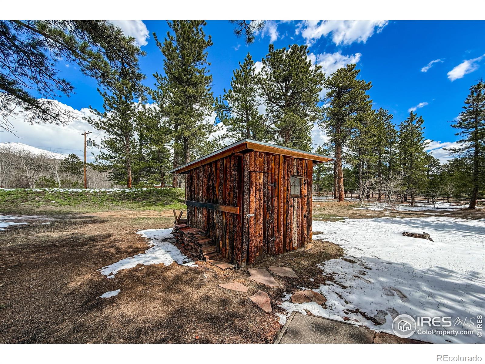 MLS Image #8 for 6  norske trail,allenspark, Colorado