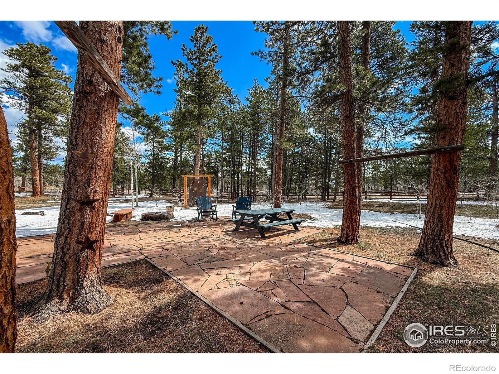 MLS Image #9 for 6  norske trail,allenspark, Colorado
