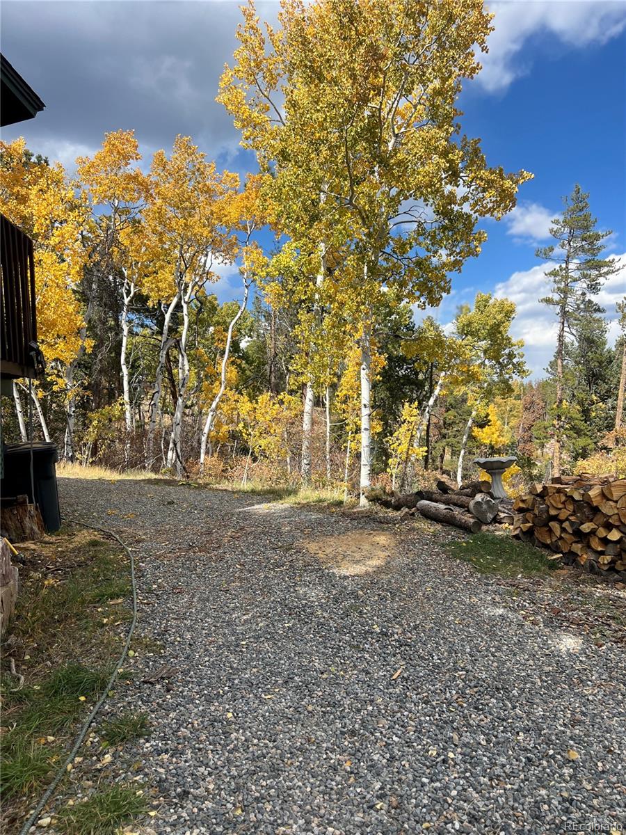 MLS Image #30 for 11798  ridge road,golden, Colorado