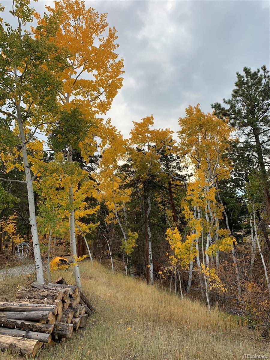 MLS Image #32 for 11798  ridge road,golden, Colorado