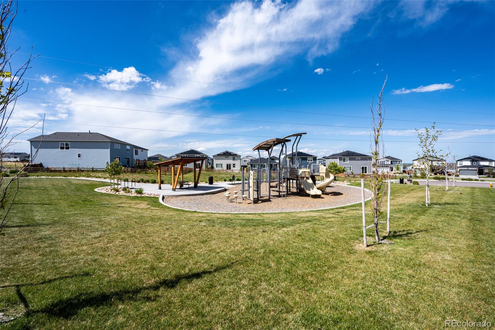 MLS Image #43 for 3722  sandy vista trail,castle rock, Colorado