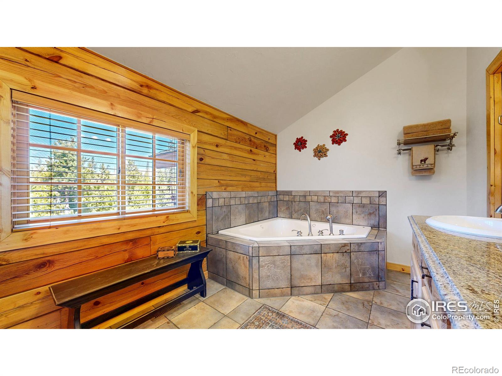 MLS Image #15 for 315  county road 4454 ,grand lake, Colorado