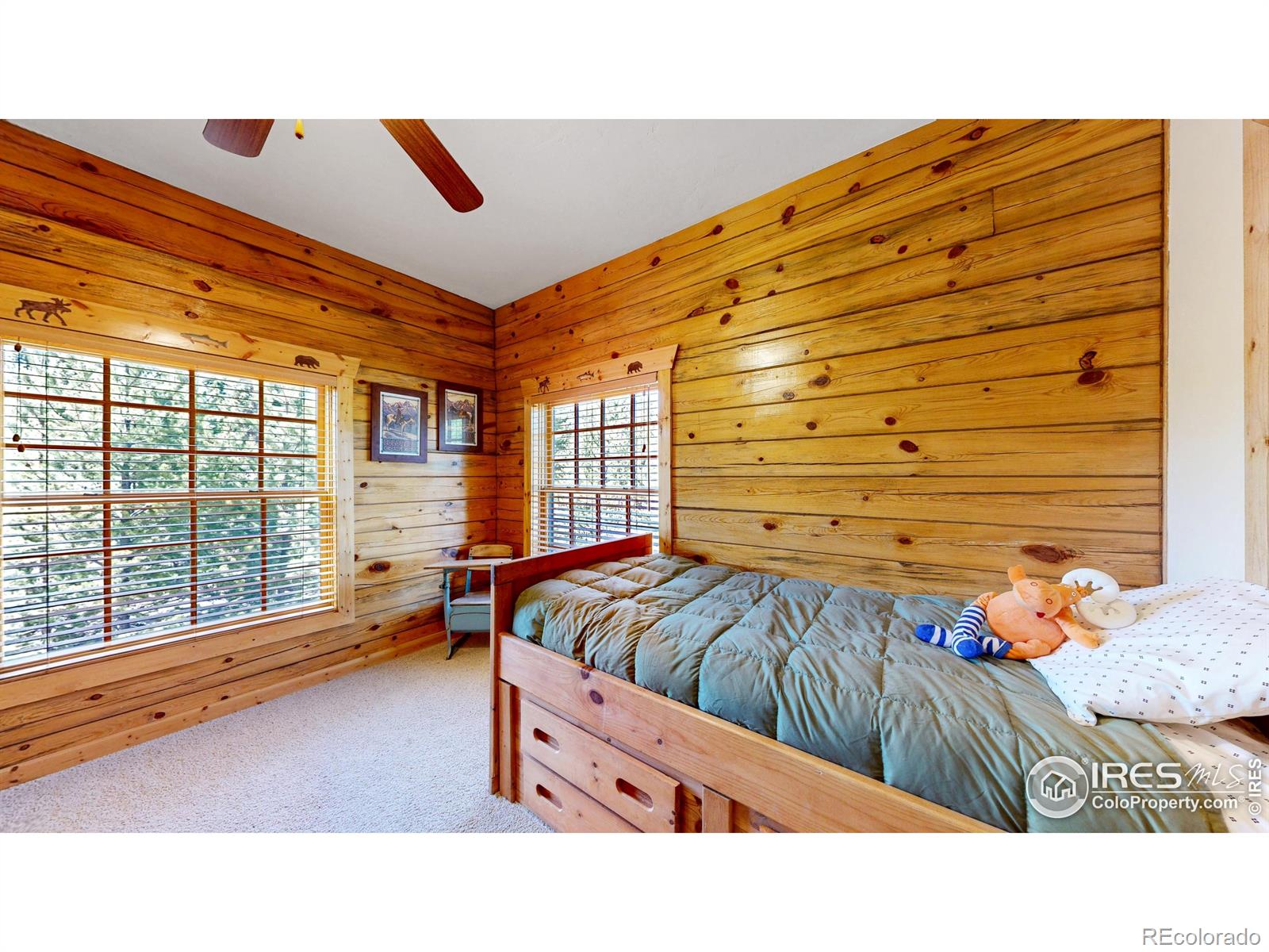 MLS Image #23 for 315  county road 4454 ,grand lake, Colorado
