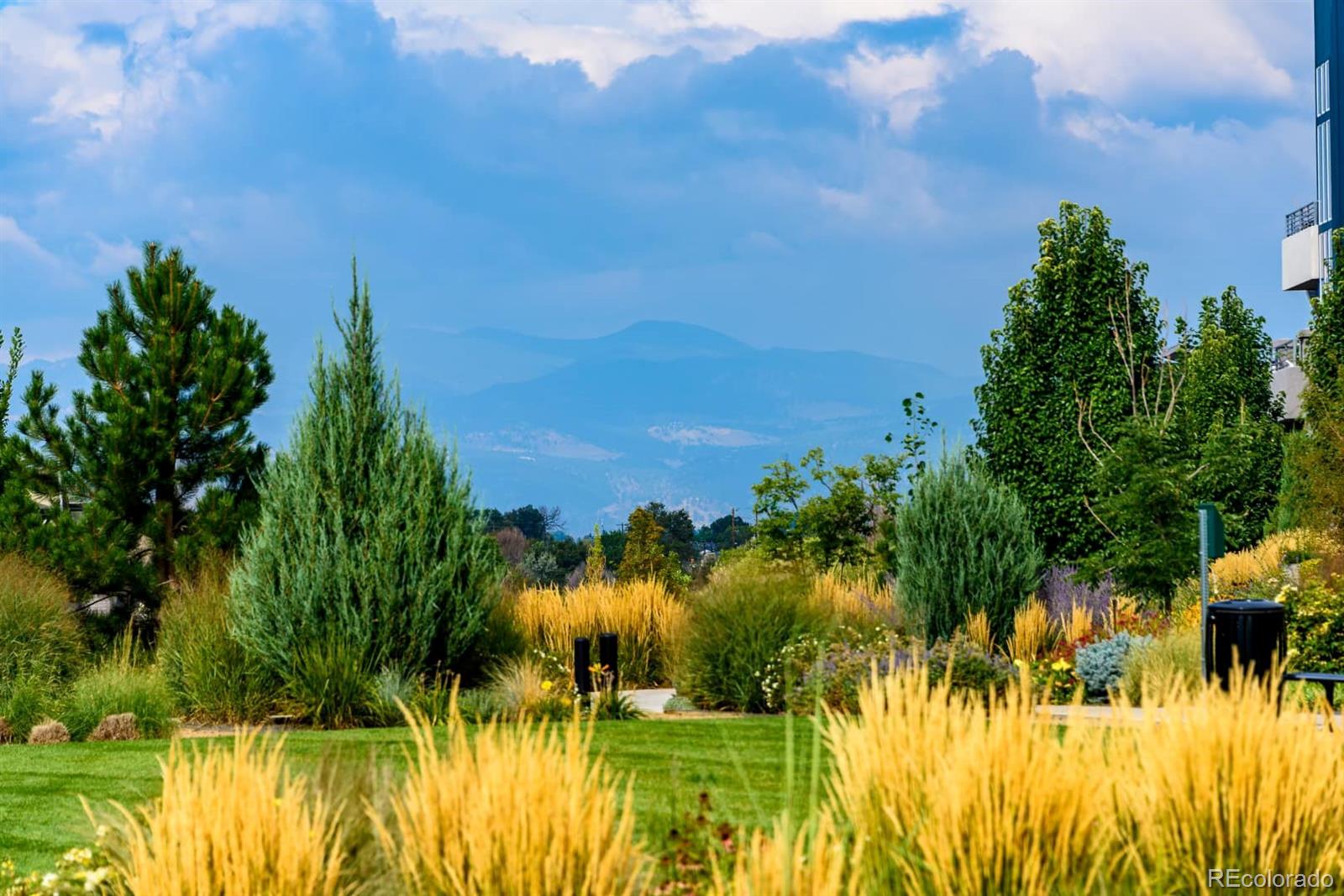 MLS Image #47 for 2110 w 67th place,denver, Colorado
