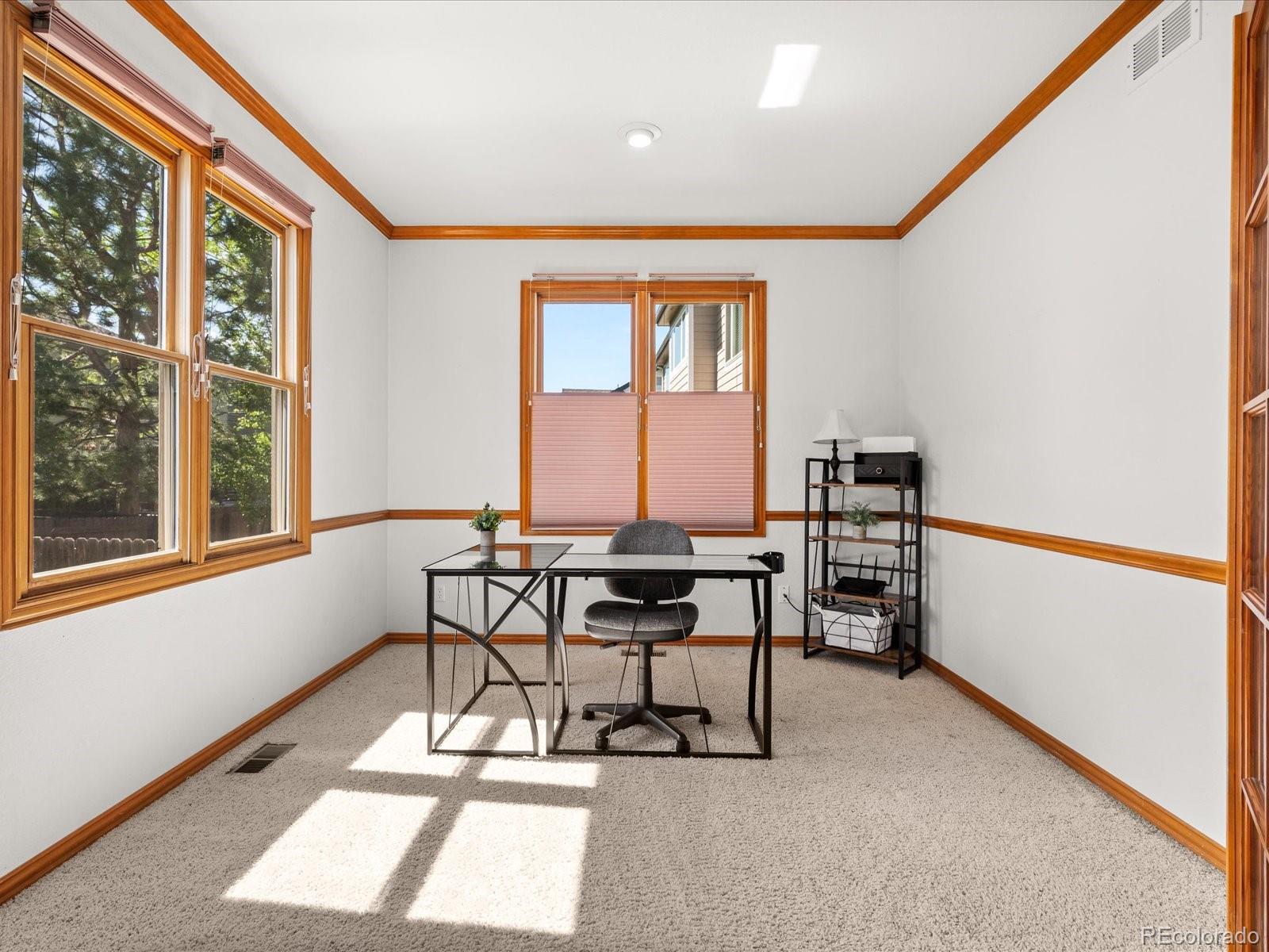 MLS Image #10 for 10631  clarke farms drive,parker, Colorado
