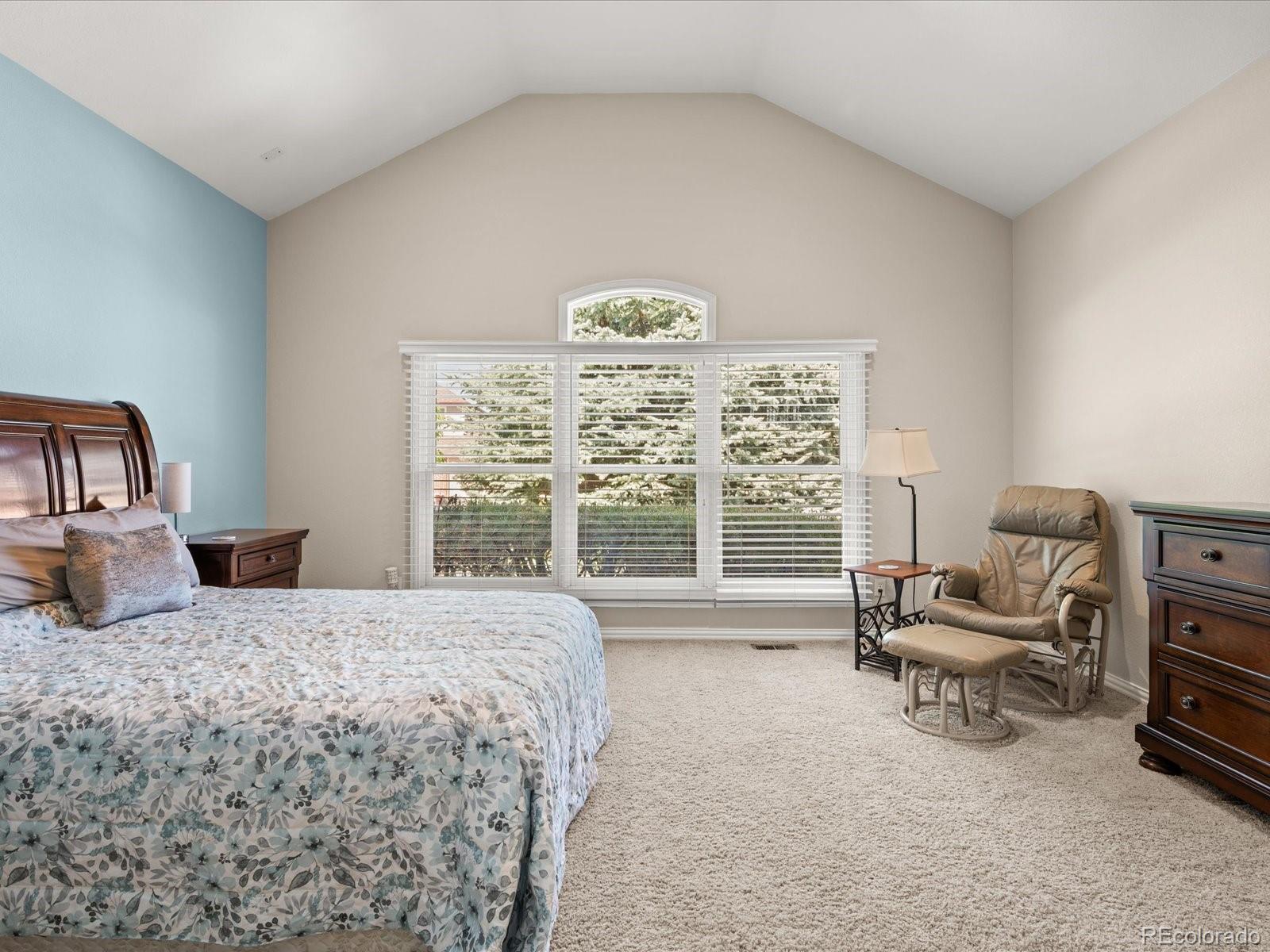MLS Image #22 for 10631  clarke farms drive,parker, Colorado