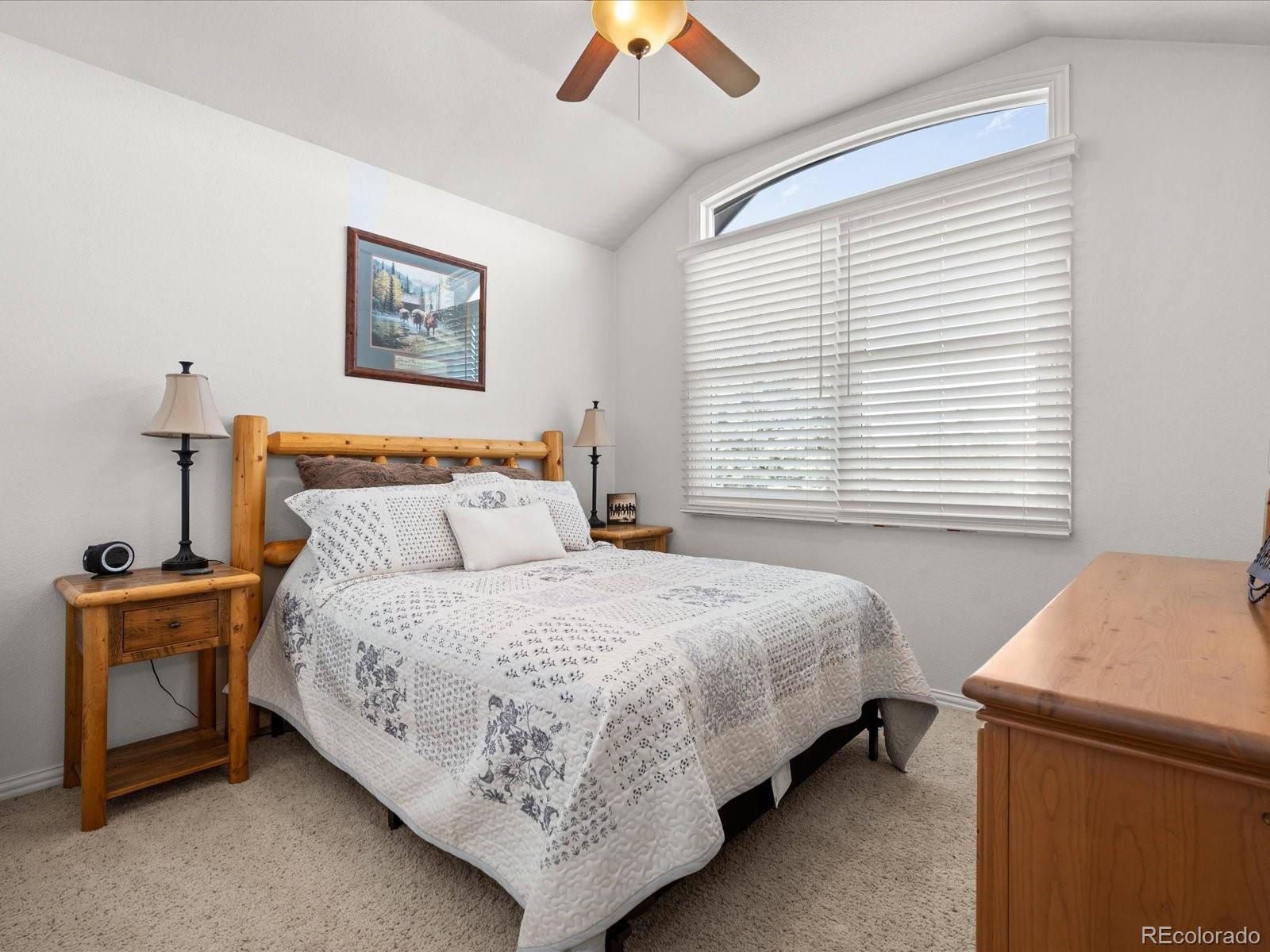 MLS Image #27 for 10631  clarke farms drive,parker, Colorado