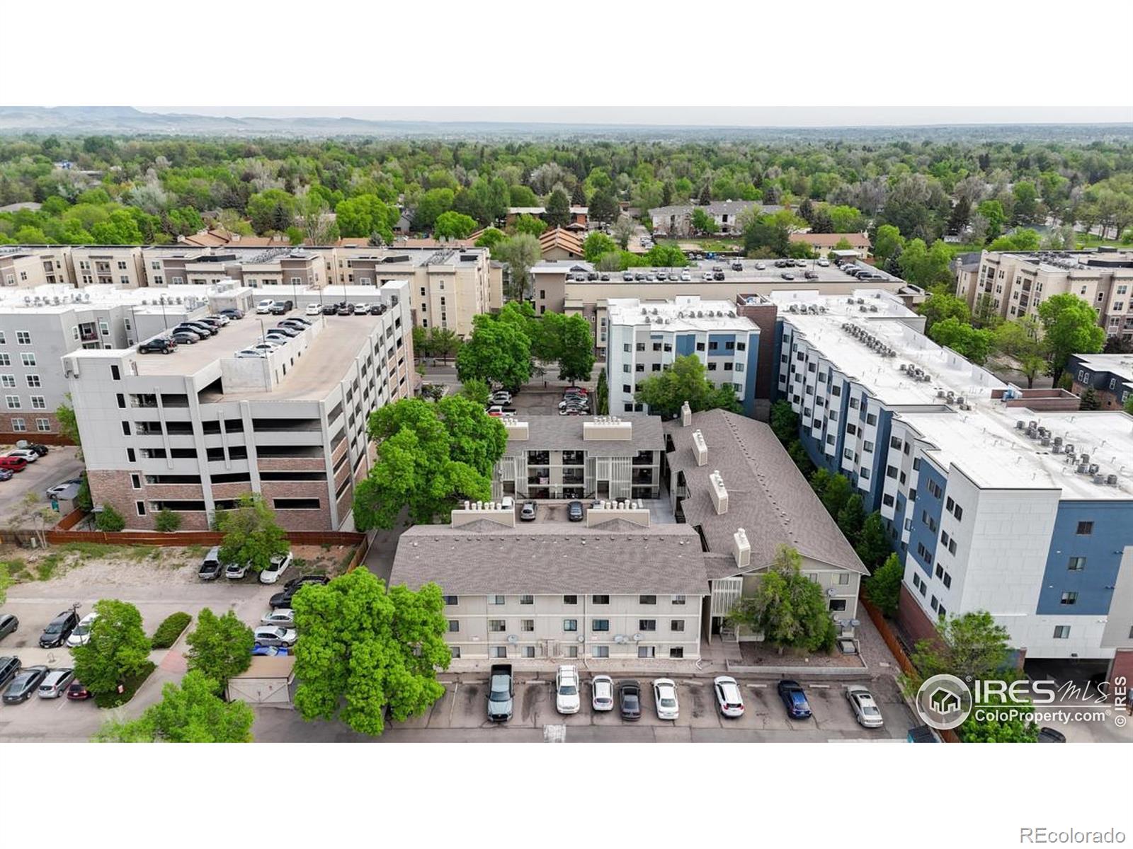 MLS Image #28 for 1209 w plum street,fort collins, Colorado