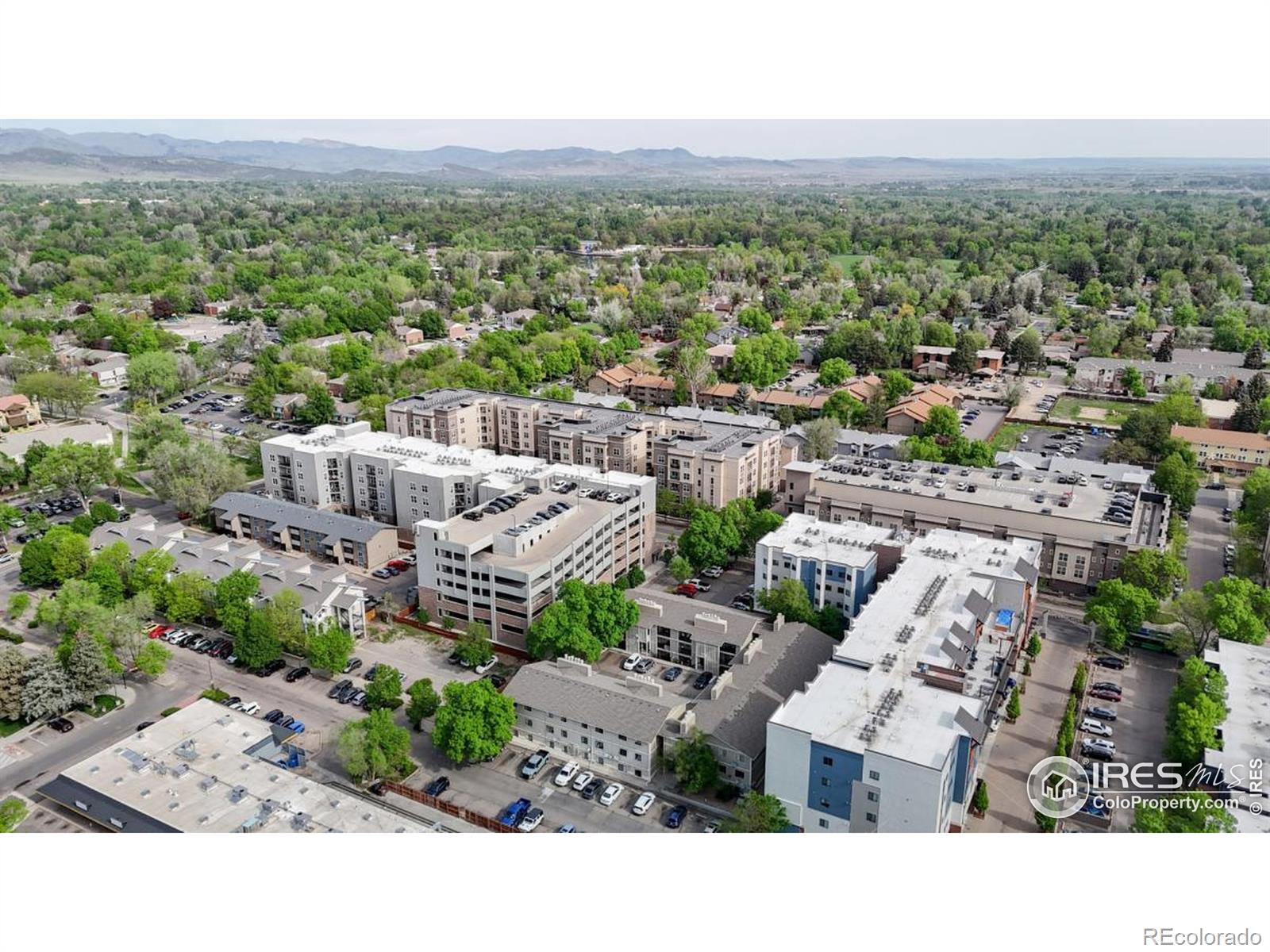 MLS Image #39 for 1209 w plum street,fort collins, Colorado