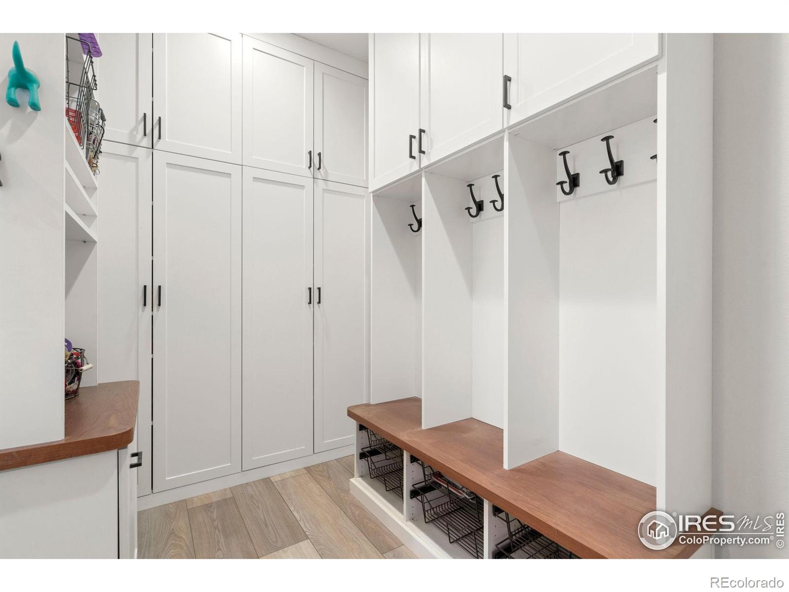 MLS Image #14 for 5085  blanchette street,timnath, Colorado