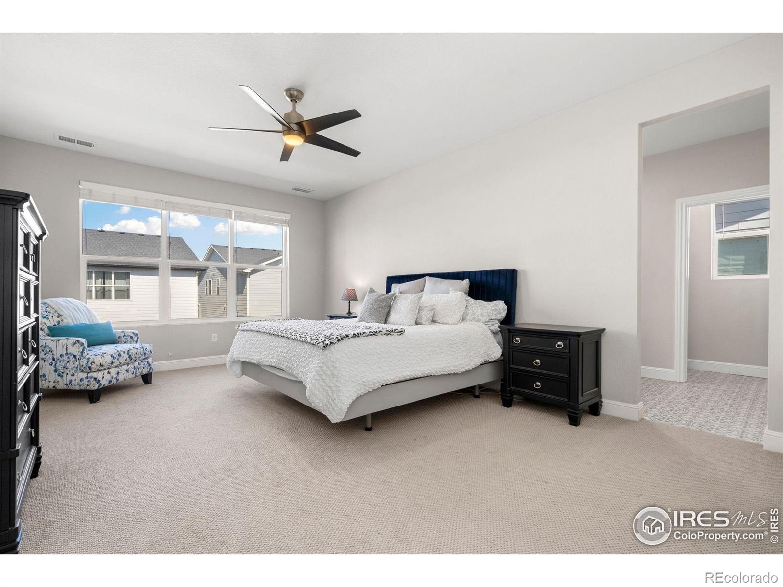 MLS Image #17 for 5085  blanchette street,timnath, Colorado