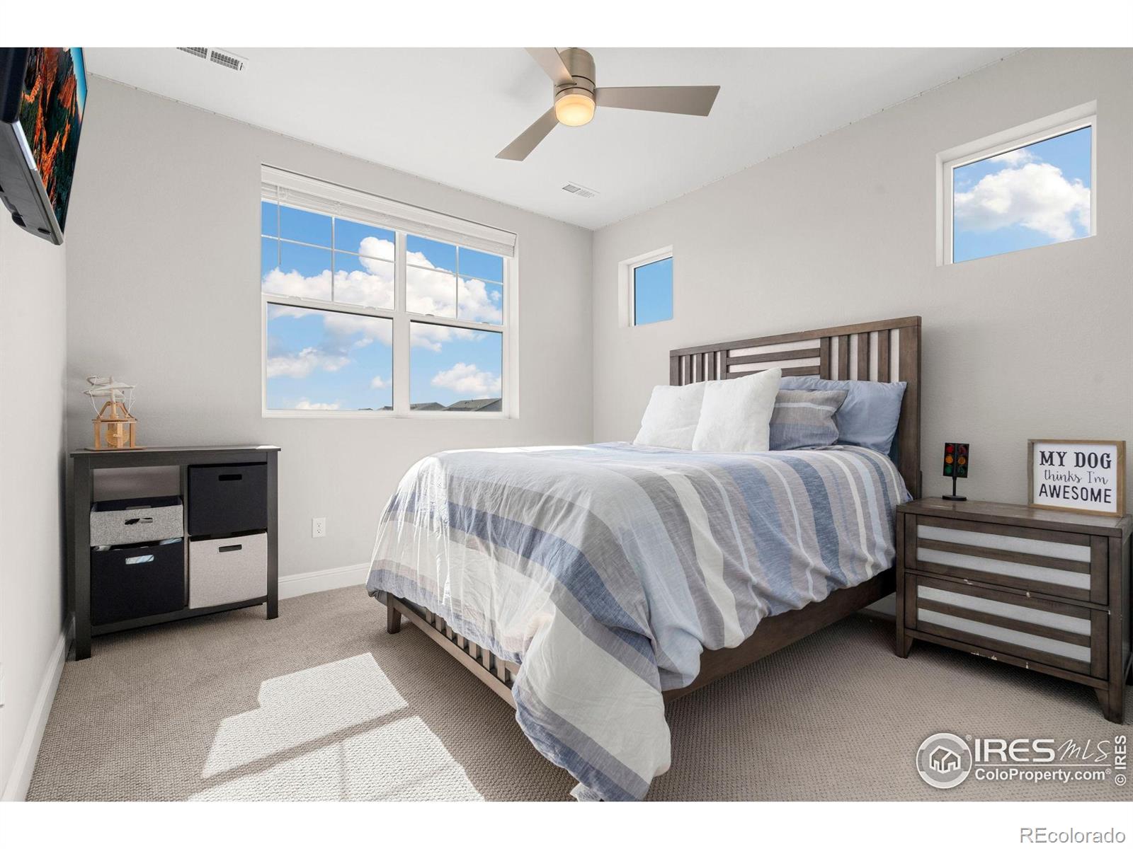 MLS Image #21 for 5085  blanchette street,timnath, Colorado