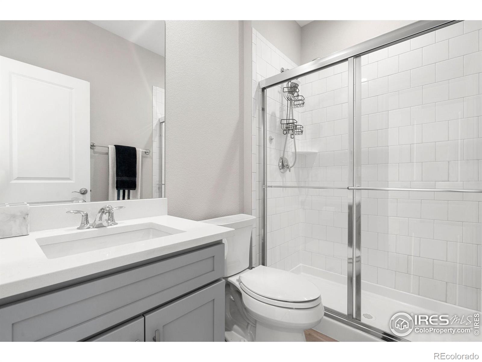 MLS Image #24 for 5085  blanchette street,timnath, Colorado