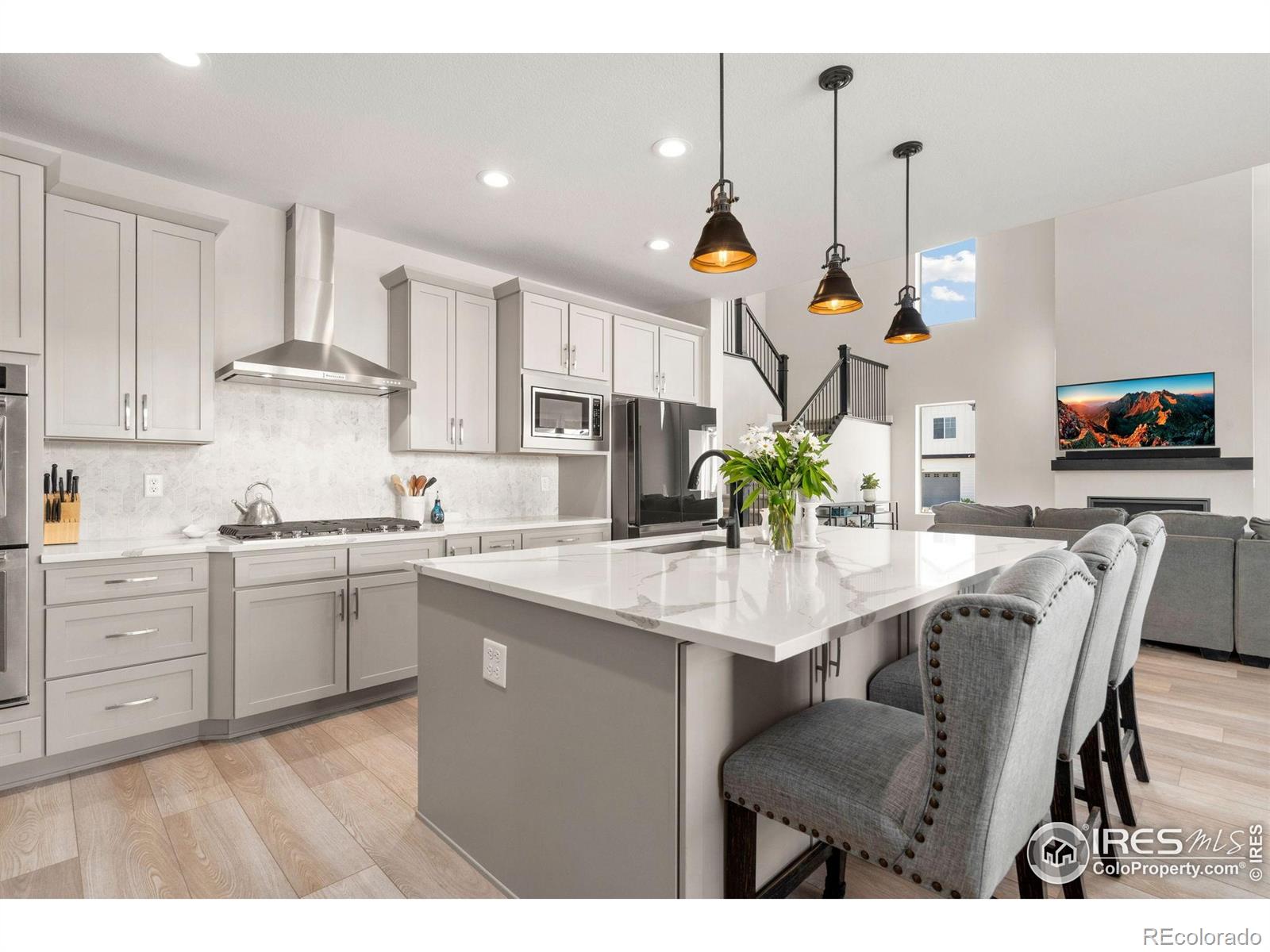 MLS Image #7 for 5085  blanchette street,timnath, Colorado
