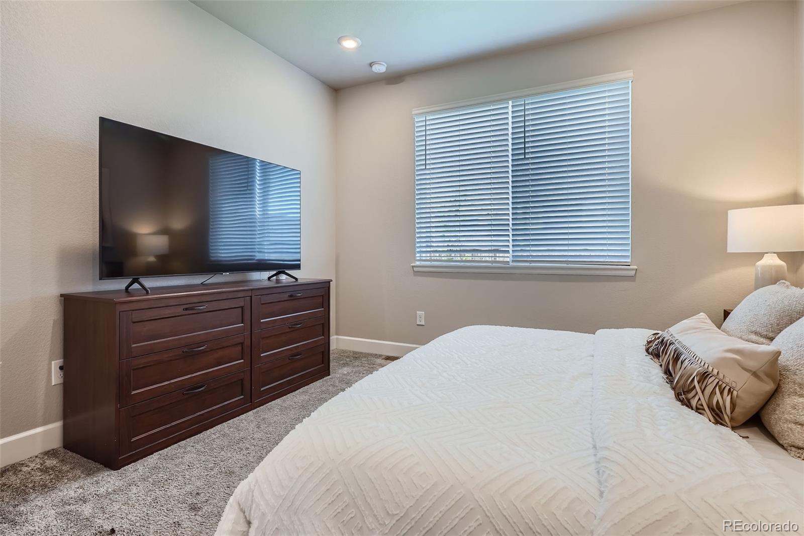 MLS Image #10 for 13460  broad wing avenue,parker, Colorado