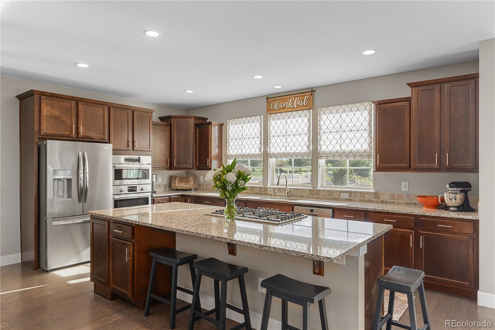 MLS Image #17 for 5181  appleton way,castle rock, Colorado