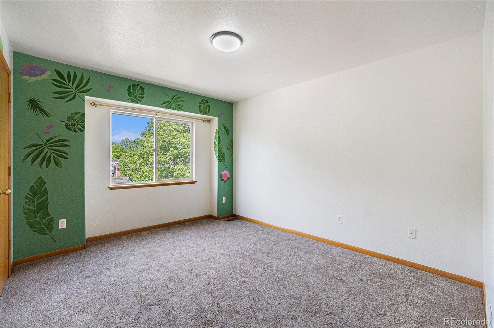 MLS Image #6 for 3752  butternut avenue,loveland, Colorado