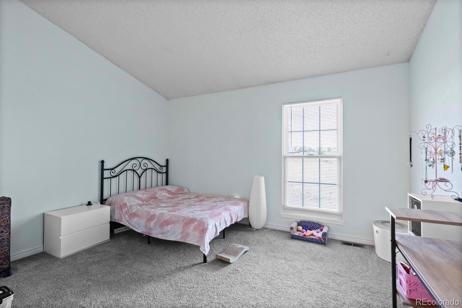 MLS Image #16 for 10886  bayfield way,parker, Colorado