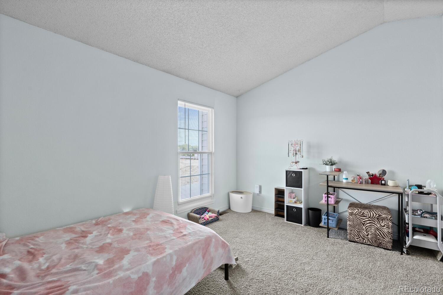 MLS Image #17 for 10886  bayfield way,parker, Colorado
