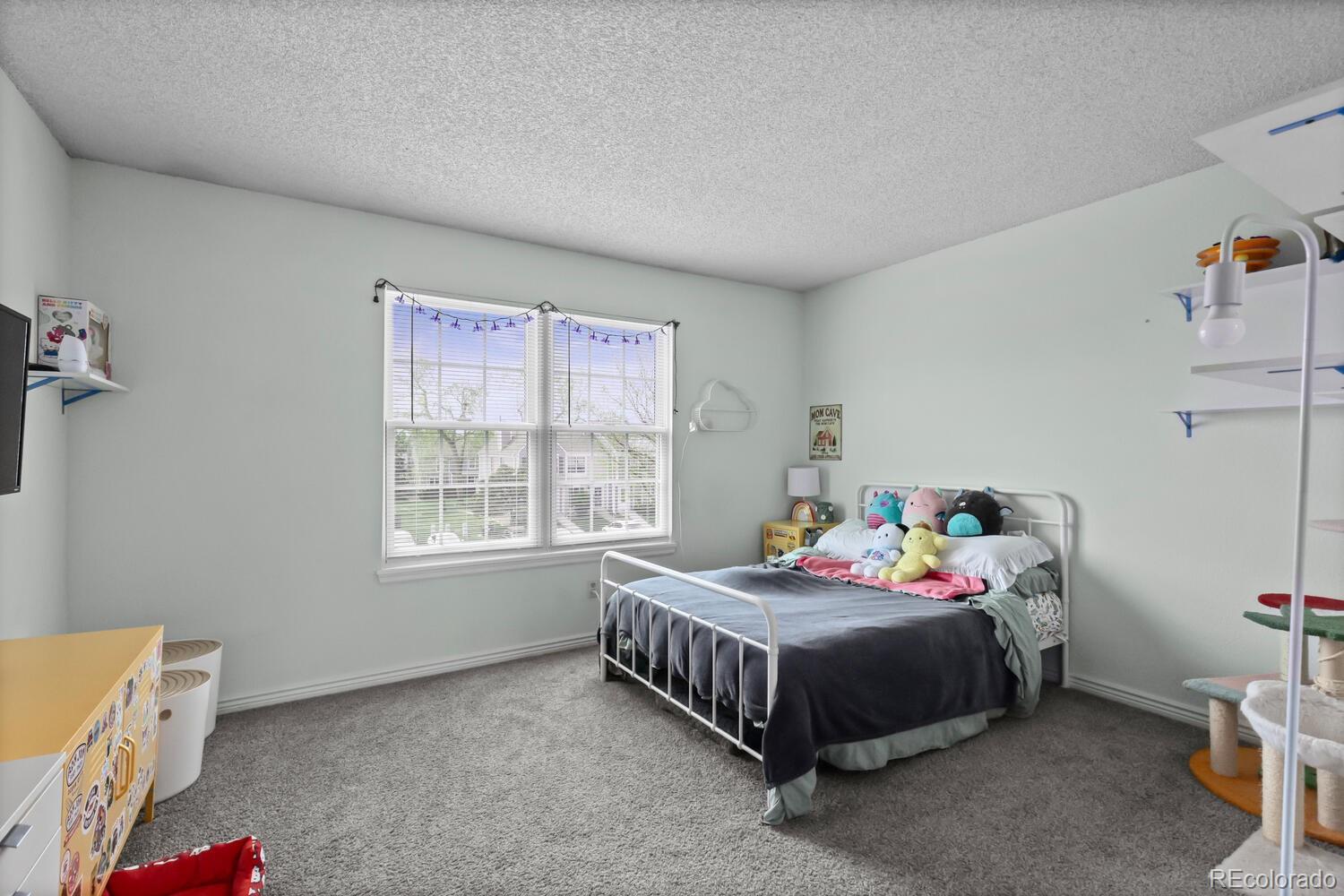 MLS Image #21 for 10886  bayfield way,parker, Colorado