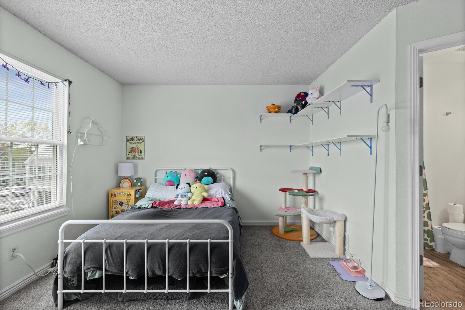 MLS Image #22 for 10886  bayfield way,parker, Colorado