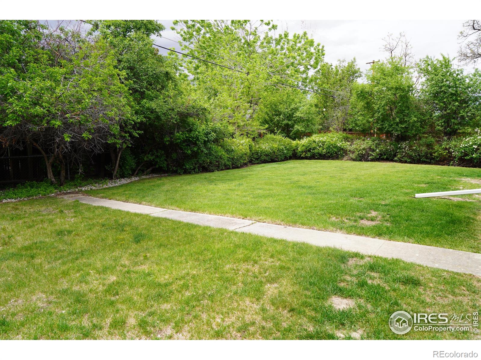 MLS Image #37 for 815 s jersey street,denver, Colorado