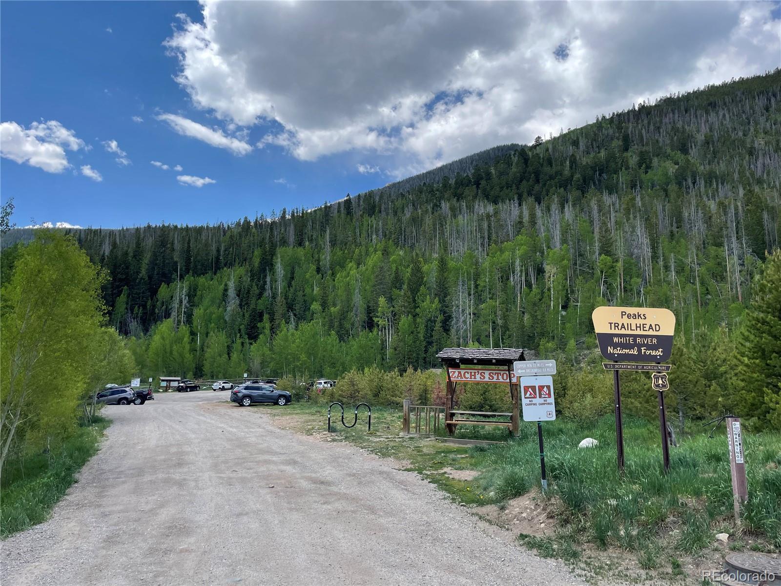 MLS Image #0 for 216  pitkin street,frisco, Colorado