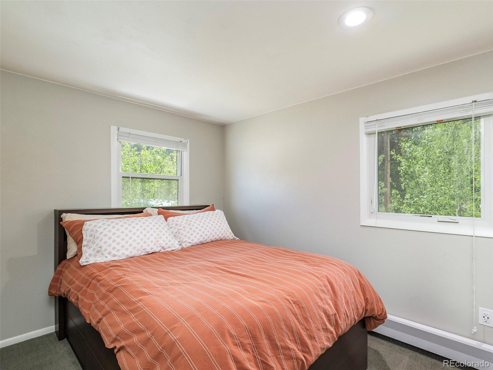 MLS Image #11 for 216  pitkin street,frisco, Colorado