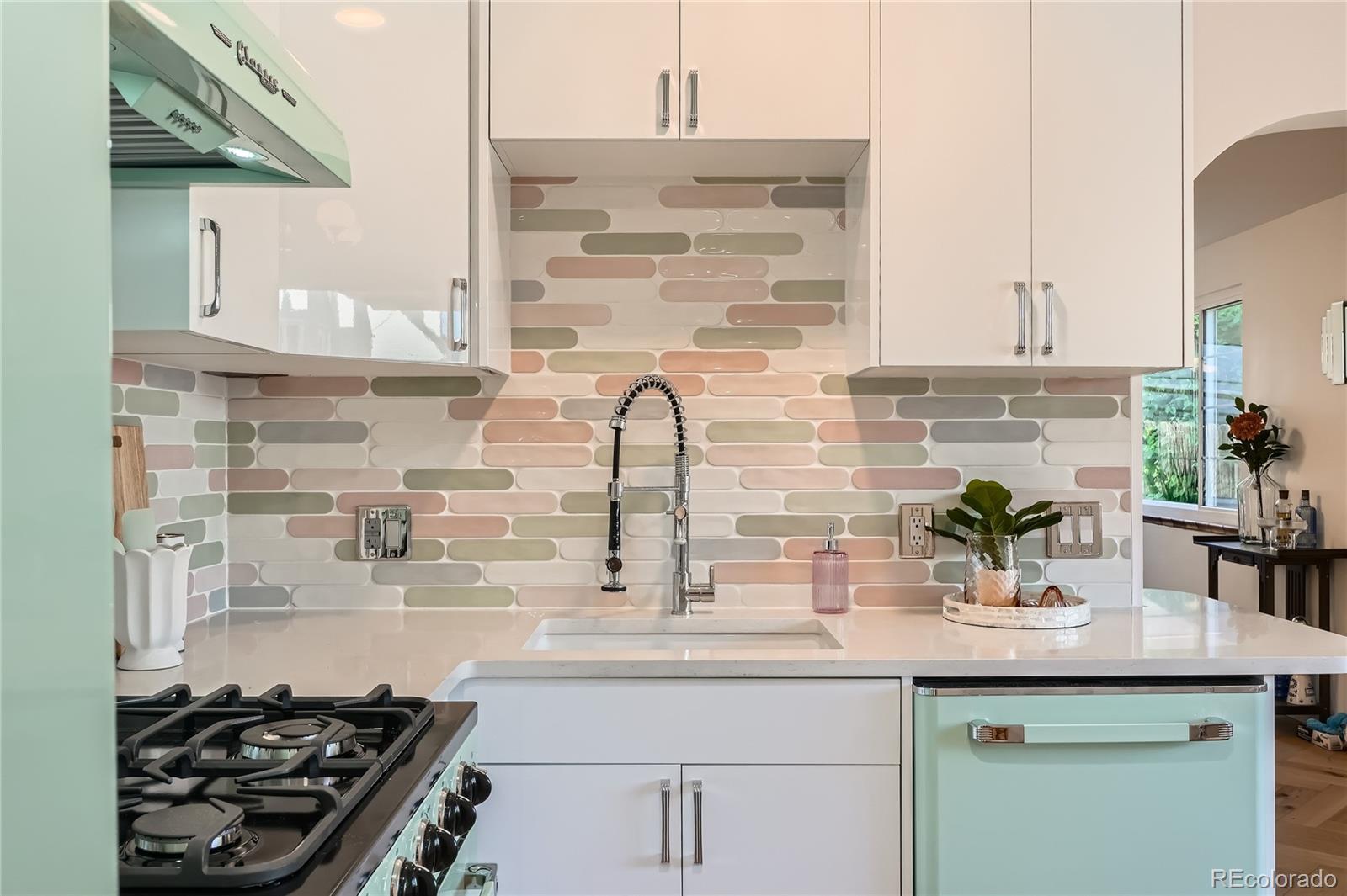 MLS Image #12 for 1010 n jasmine street,denver, Colorado