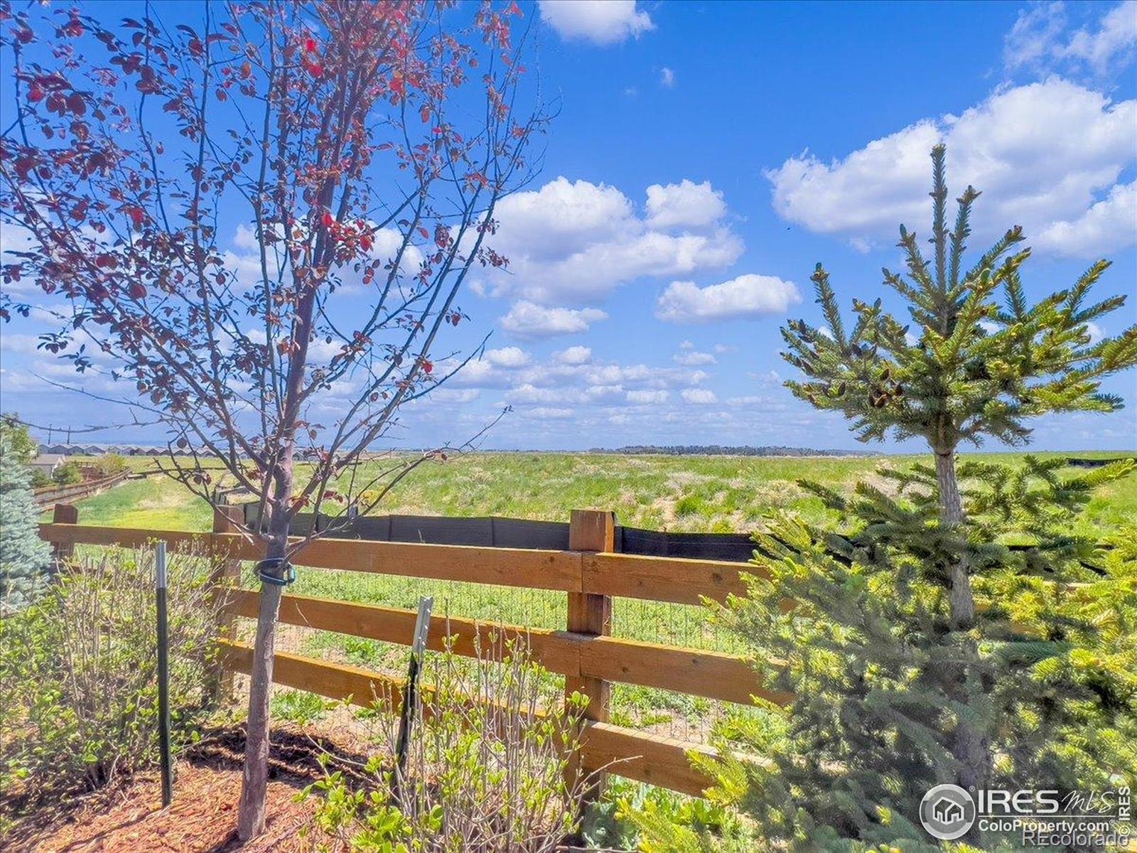 MLS Image #37 for 6506  merrimack drive,castle pines, Colorado